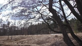 Видеокамера Panasonic HC-W850