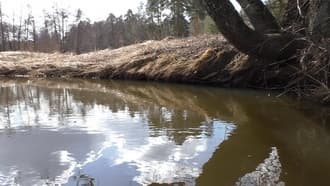 Видеокамера Panasonic HC-W850