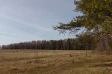 пример фотографии видеокамеры Panasonic HDC-TM900