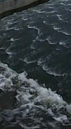 Панорамная камера Samsung Gear 360