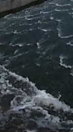 Панорамная камера Samsung Gear 360