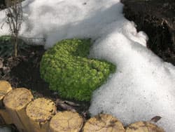 Посмотреть в полный размер