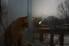 Видеосъемка фотоаппаратом Sony Alpha ILCE-7RM2