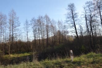 Видеосъемка фотоаппаратом. Sony DSC-RX100M2