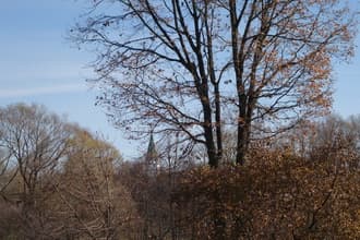 Видеосъемка фотоаппаратом. Sony DSC-RX100M2