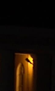 Видеосъемка фотоаппаратом Sony DSC-RX100M4