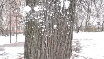 Видеосъемка фотоаппаратом Sony DSC-RX100M4