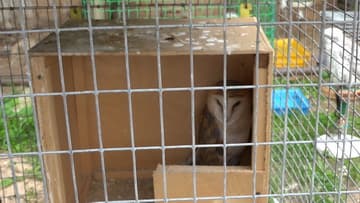 Видеокамера Sony HDR-CX900