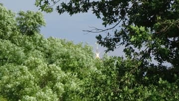 Видеокамера Sony HDR-PJ620