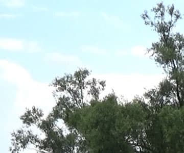 Видеокамера Sony HDR-PJ620