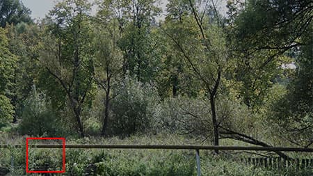 Видеокамера Sony HXR-NX3