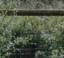 Видеокамера Sony HXR-NX3