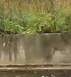 Экшн-камера Yi 4K Action Camera