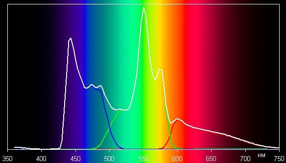 Spectrum ДИНАМ.