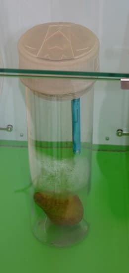 Стенд MediaTek Labs на фестивале Geek Picnic 2015