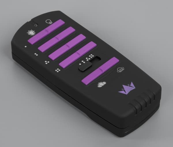 Внешний вид Brenin