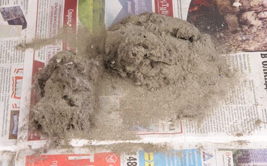 Пылесос Dyson DC52 Animal Complete. Тест.