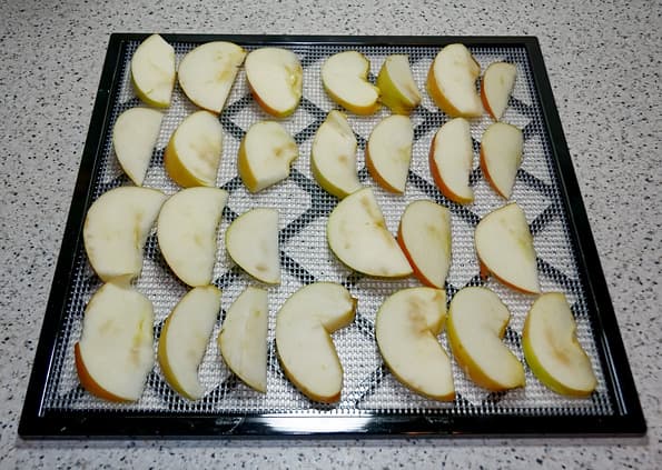 дегидратор Excalibur 4948CDBF