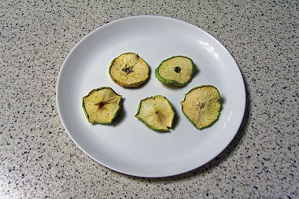 Дегидратор Ezidri Ultra FD1000