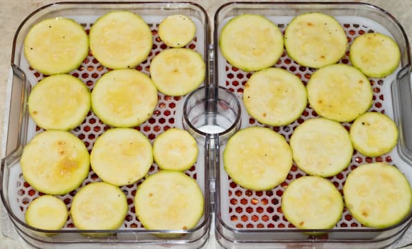 Дегидратор Gochu D-310