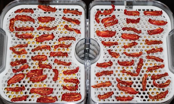 Дегидратор Gochu D-310