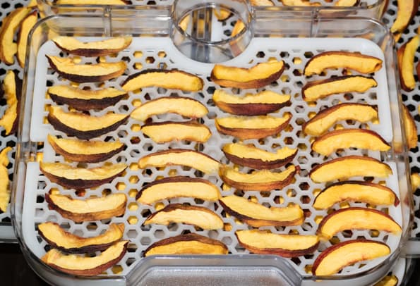 Дегидратор Gochu D-310