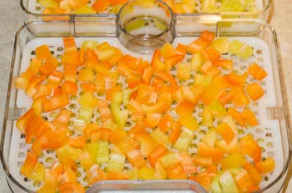 Дегидратор Gochu D-310