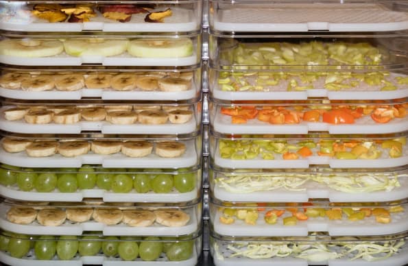 Дегидратор Gochu D-310