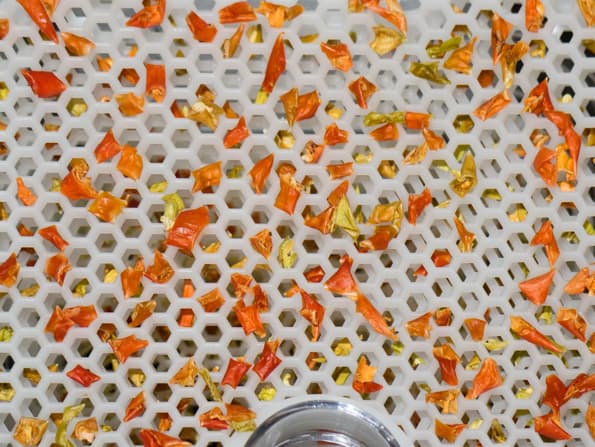 Дегидратор Gochu D-310