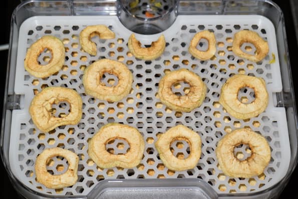 Дегидратор Gochu D-310