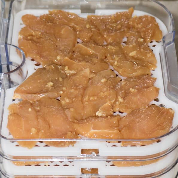 Дегидратор Gochu D-310