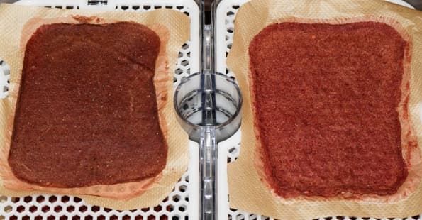 Дегидратор Gochu D-310