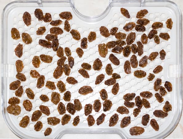 Дегидратор Gochu D-310