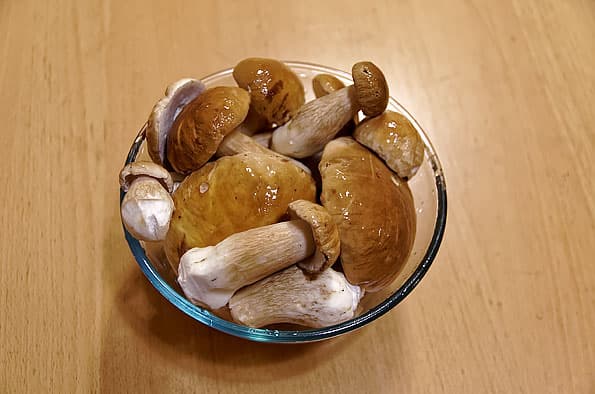 Индукционная кухонная плита Hansa BHIW68303