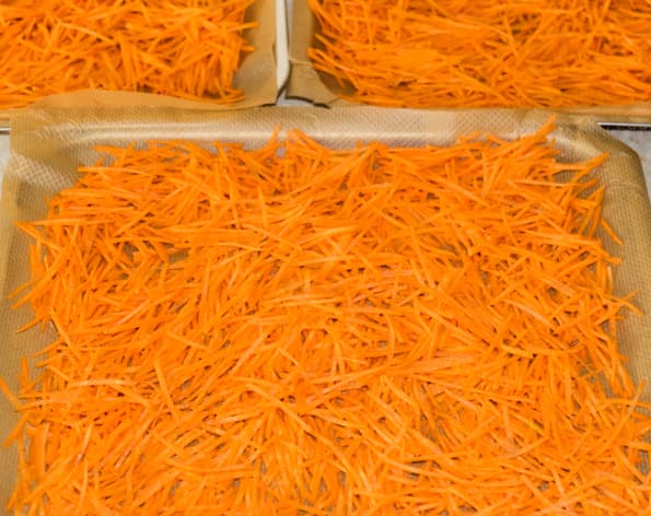 Дегидратор L’equip IR-D5