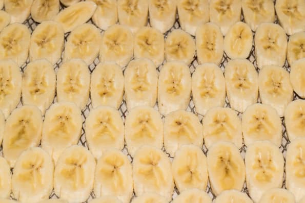 Дегидратор L’equip IR-D5