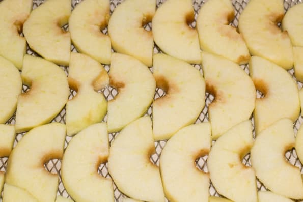 Дегидратор L’equip IR-D5