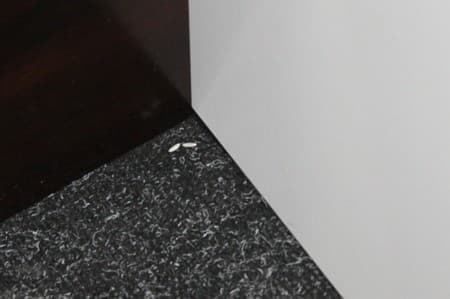 Робот-пылесос LG VR6270LVM, тест уборки Робот-пылесос LG VR6270LVM, тест уборки