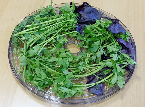 Электрическая сушилка Mystery MDH-321