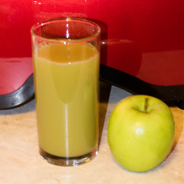 Двухшнековая горизонтальная соковыжималка Omega TWN32R