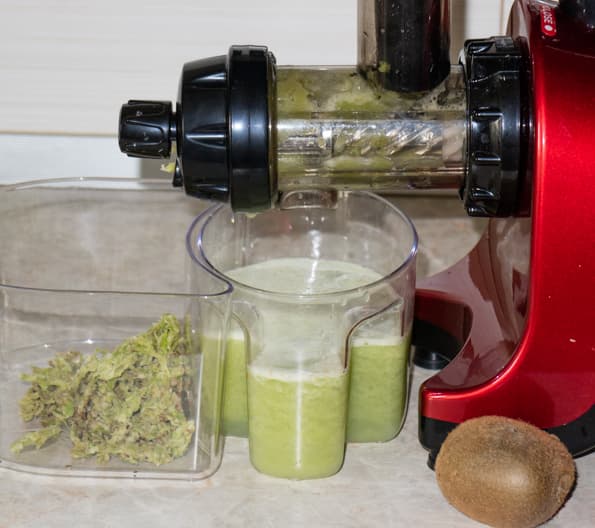 Двухшнековая горизонтальная соковыжималка Omega TWN32R