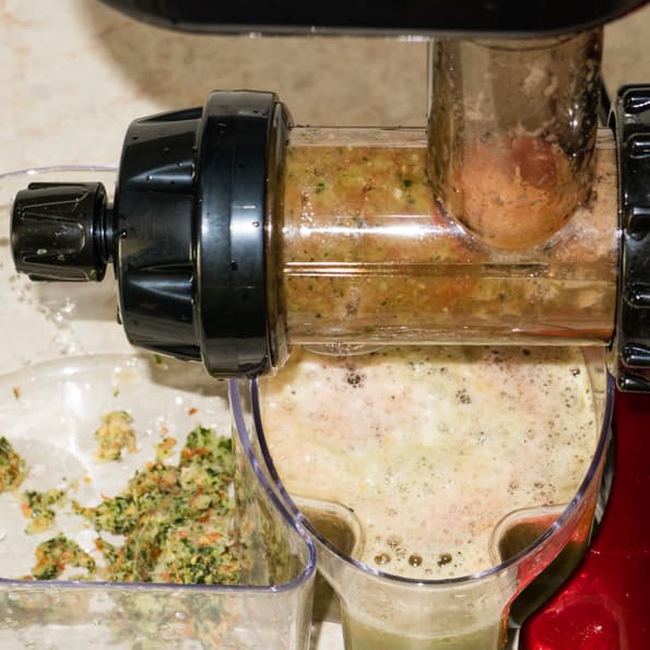 Двухшнековая горизонтальная соковыжималка Omega TWN32R