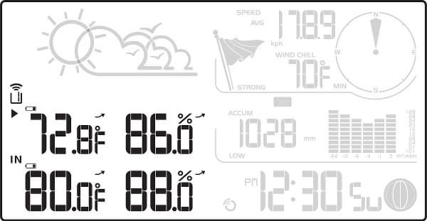 Экран Oregon Scientific WMR89