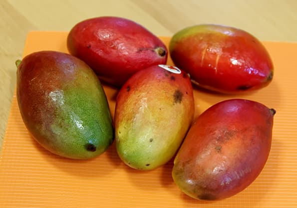 Шнековая соковыжималка Panasonic MJ-L500