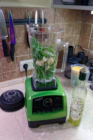 Профессиональный блендер Rawmid Dream Greenery BDG-07