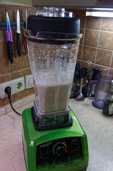 Профессиональный блендер Rawmid Dream Greenery BDG-07