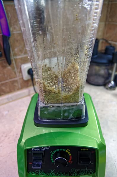 Профессиональный блендер Rawmid Dream Greenery BDG-07
