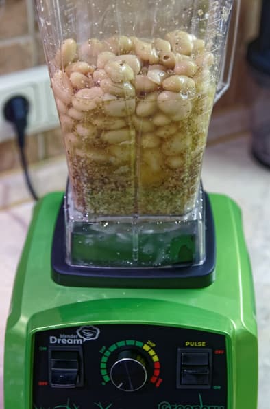 Профессиональный блендер Rawmid Dream Greenery BDG-07