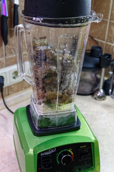 Профессиональный блендер Rawmid Dream Greenery BDG-07