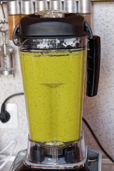 Профессиональный блендер RawMid Dream Luxury 2 BDL-09